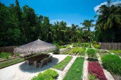 gili-lankanfushi-organic-garden