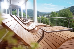 gruenes-hotel-schwarzwald-panorama