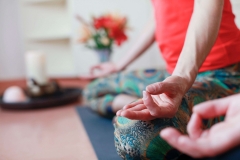 schwarzwald-panorama-eco-hotel-yoga