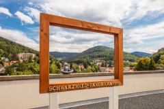 The framed Black Forest