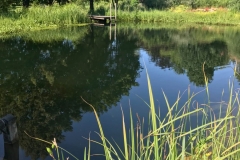 biohotel-sturm-teich