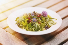 bio-restaurant-SCHULZES-sturm-mellrichstadt-bio-regionale-küche-