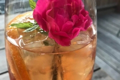 biohotel-sturm-drink