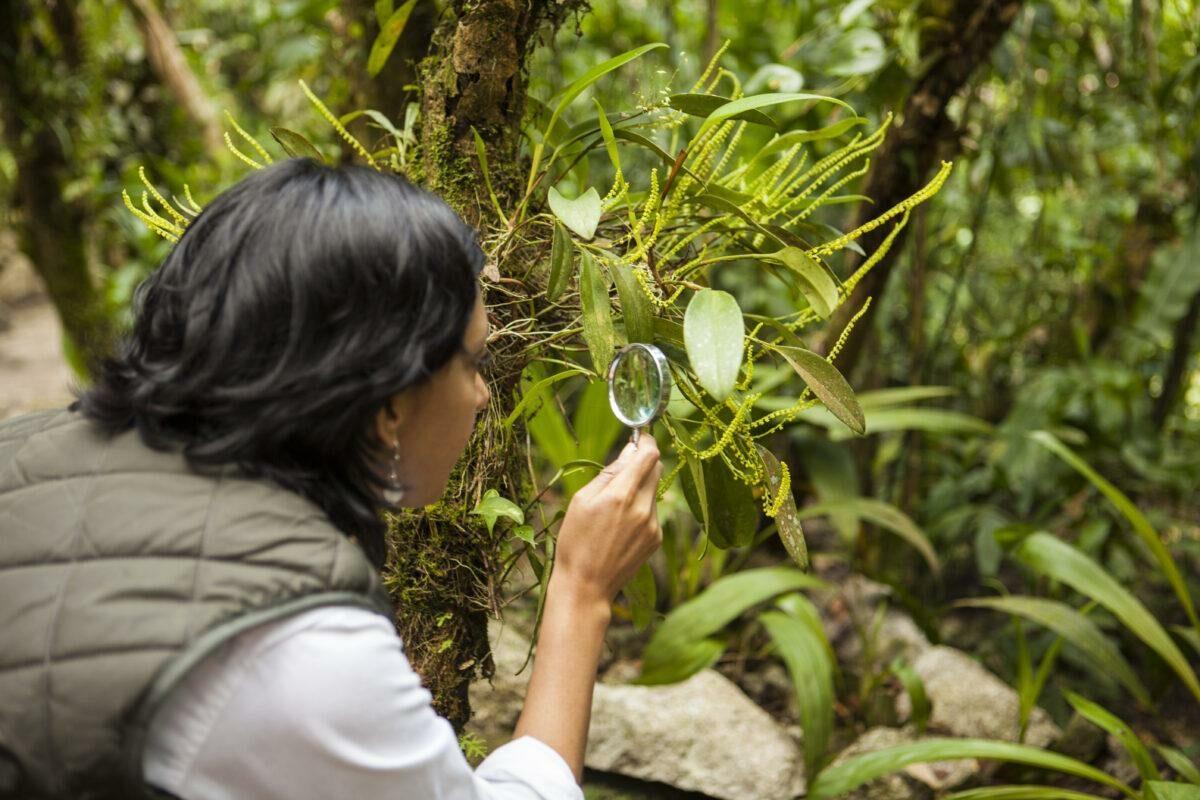Animal watching in the Green Pearls® hotels