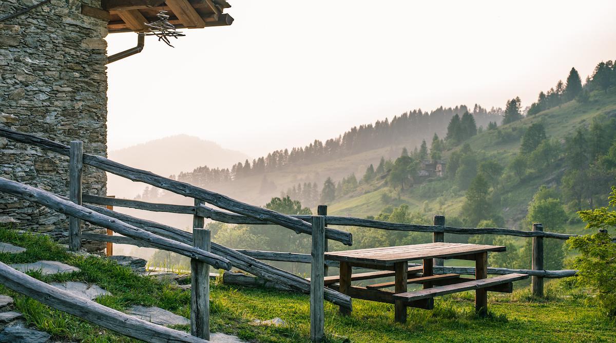 Tropisches Holz in Bayern? Nein Danke!
