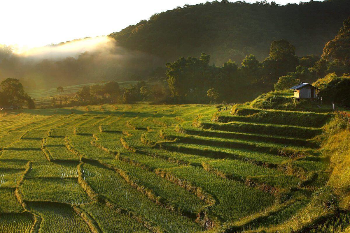 Adventure Thailand: Traveling with Visual Impairment