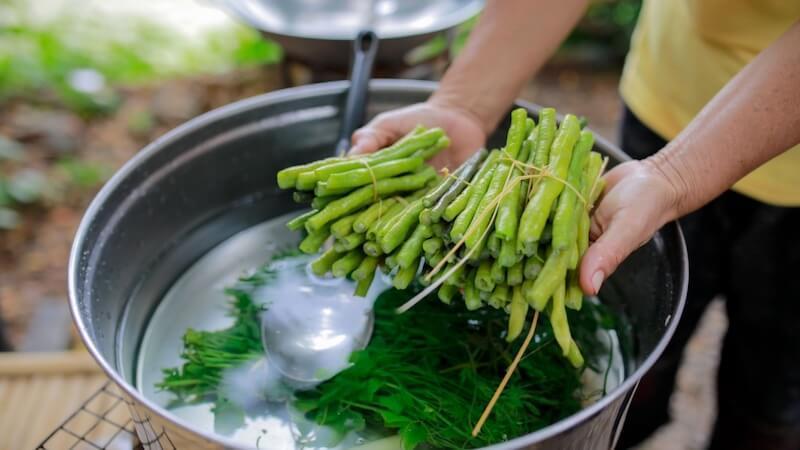 Lampang Organic Farming excursion © TakeMeTour