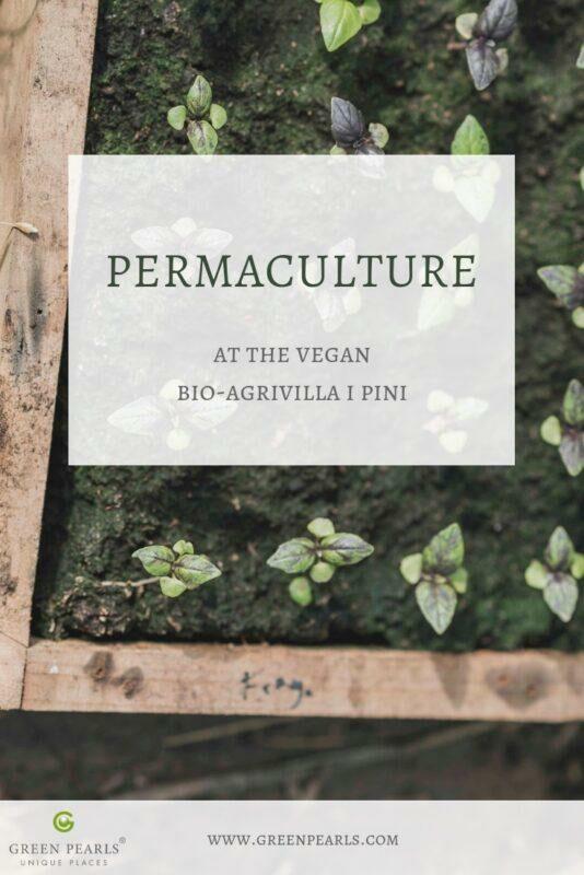 Permakultur - Bio-Agrivilla - i pini