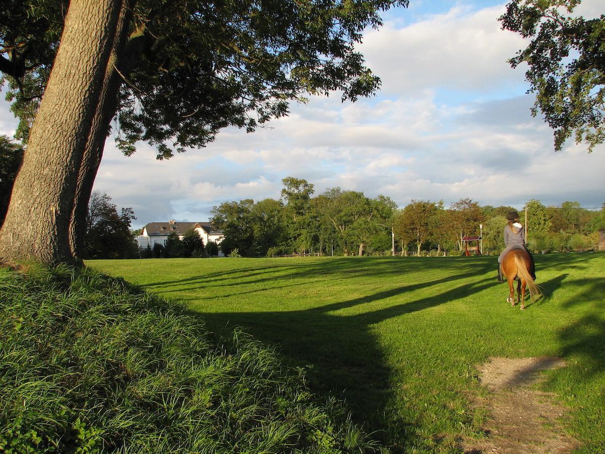 Reiten auf Gut Nisdorf