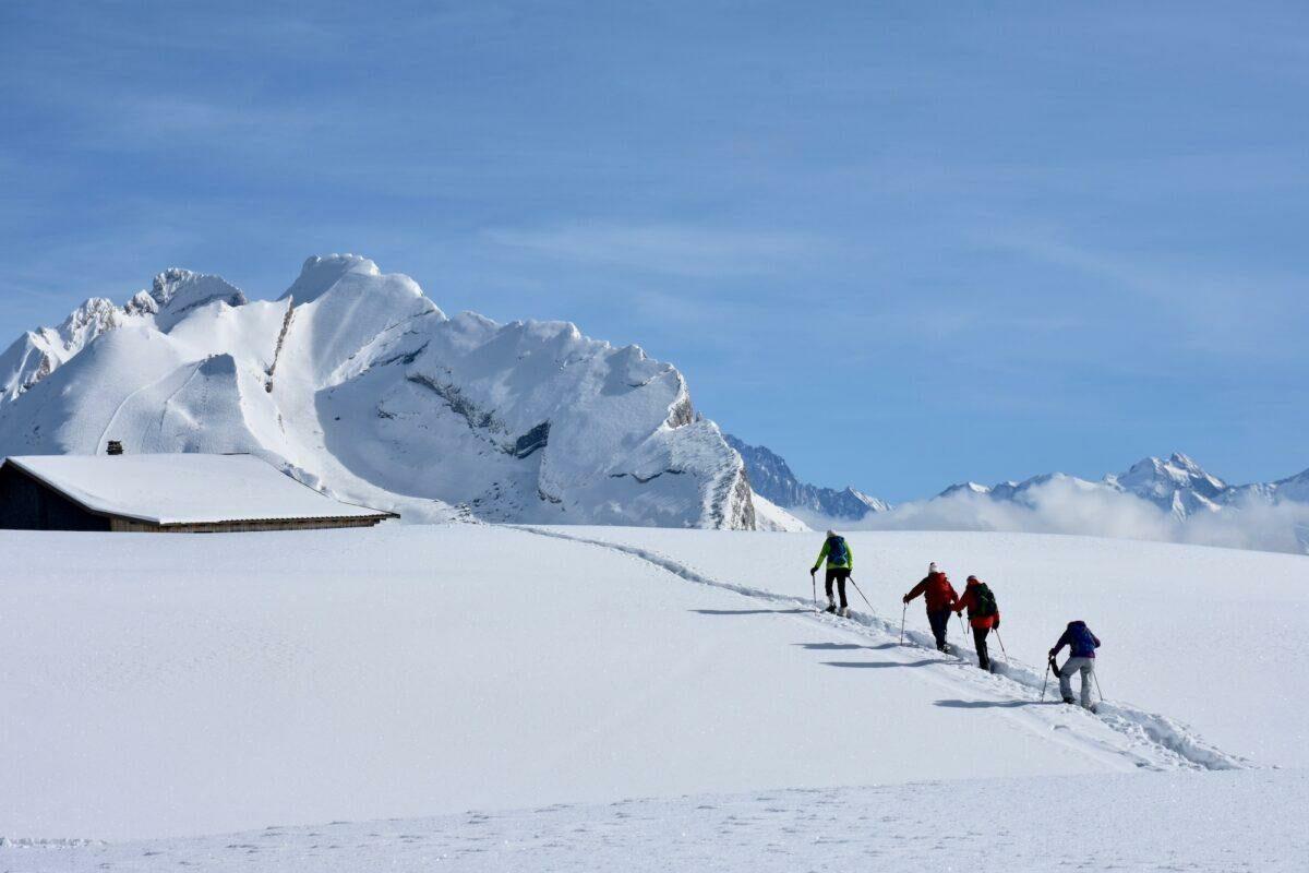 Hiking on Snowshoes