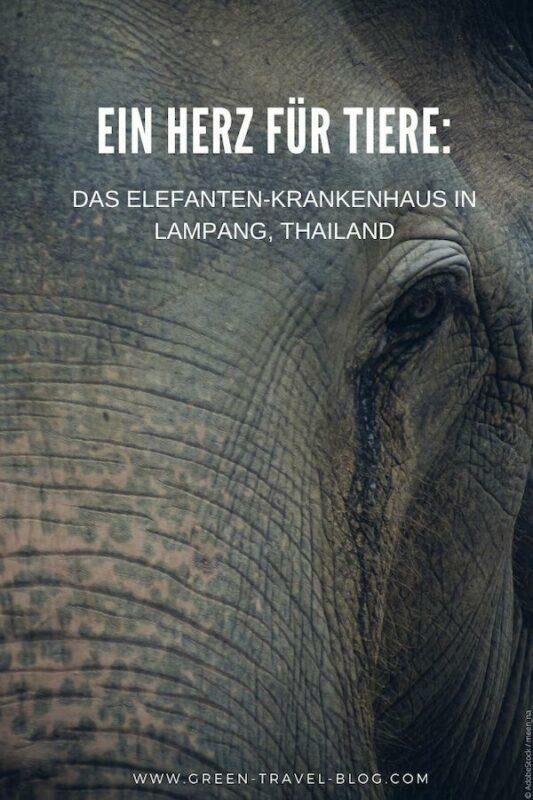 FAE Elefanten Krankenhaus thailand Lampang