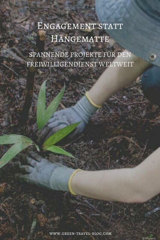Freiwillige Projekte weltweit