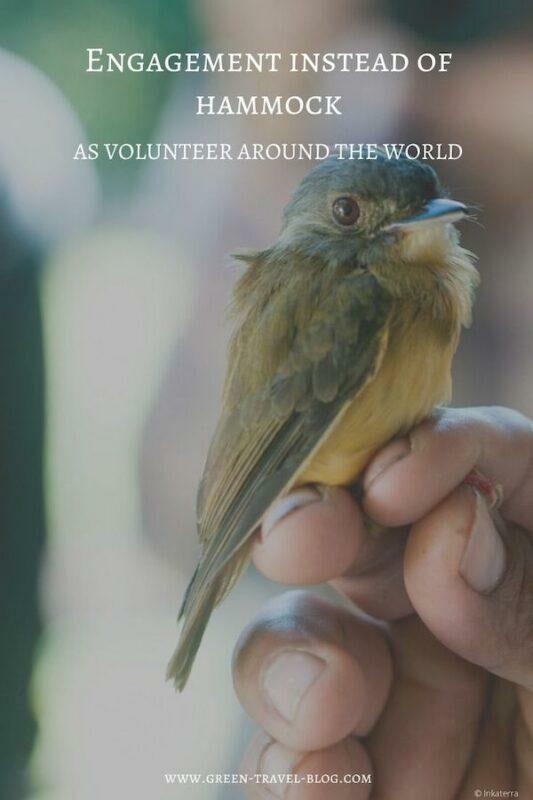 Volunteering projects worldwide