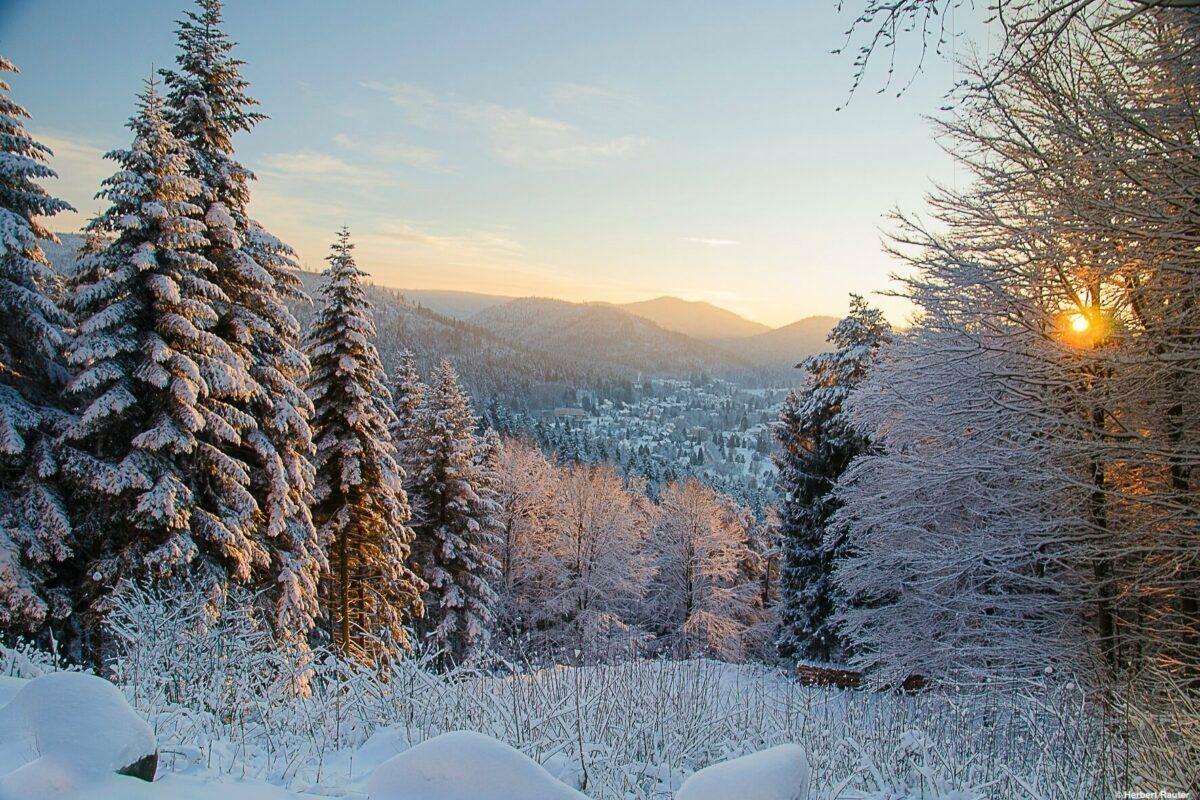 Winter sport in the Black Forest: 3 unusual ideas for your vacation in Bad Herrenalb