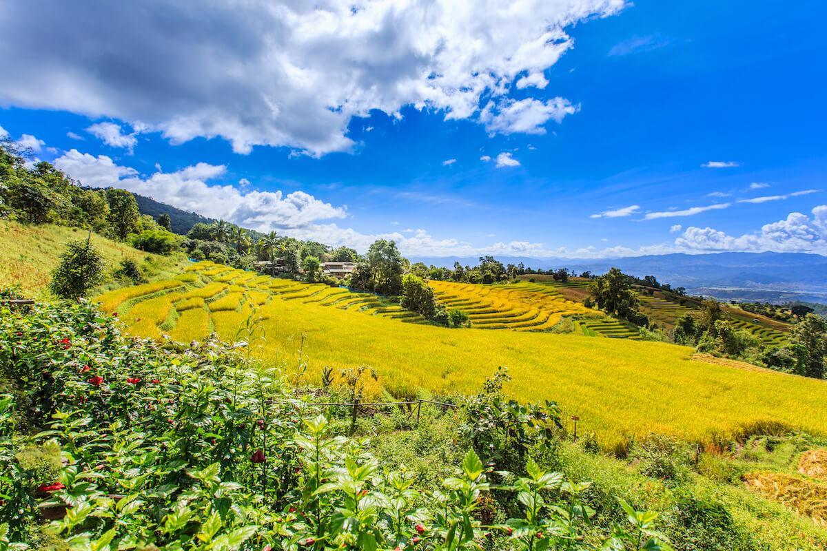 Chiang Mai-Ban Pa Bong Pieng (บ้านป่าบงเปียง) © TAT