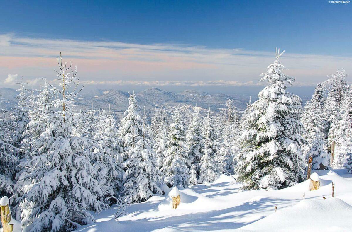 Bad Herrenalb Winter