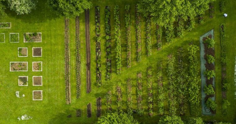 Tipps &  Tricks für einen nachhaltigen Garten
