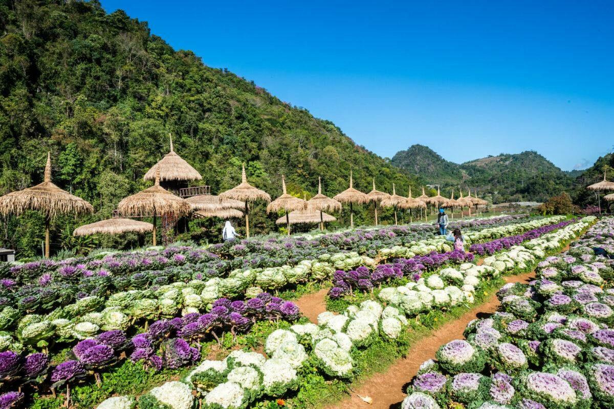 Thailand goes green: Nachhaltigkeit mit Geschichte