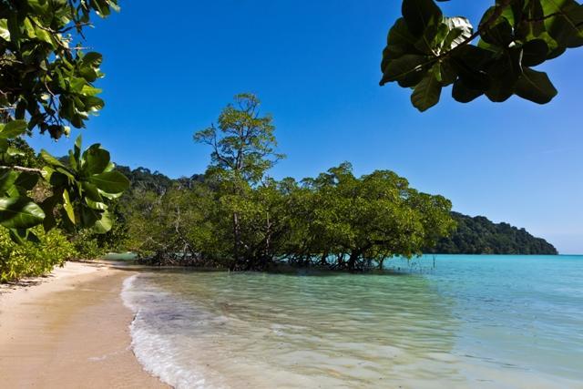 Andaman Discoveries Thailand