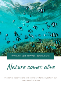 Nature comes alive
