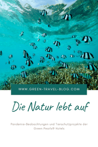 Die Natur lebt auf