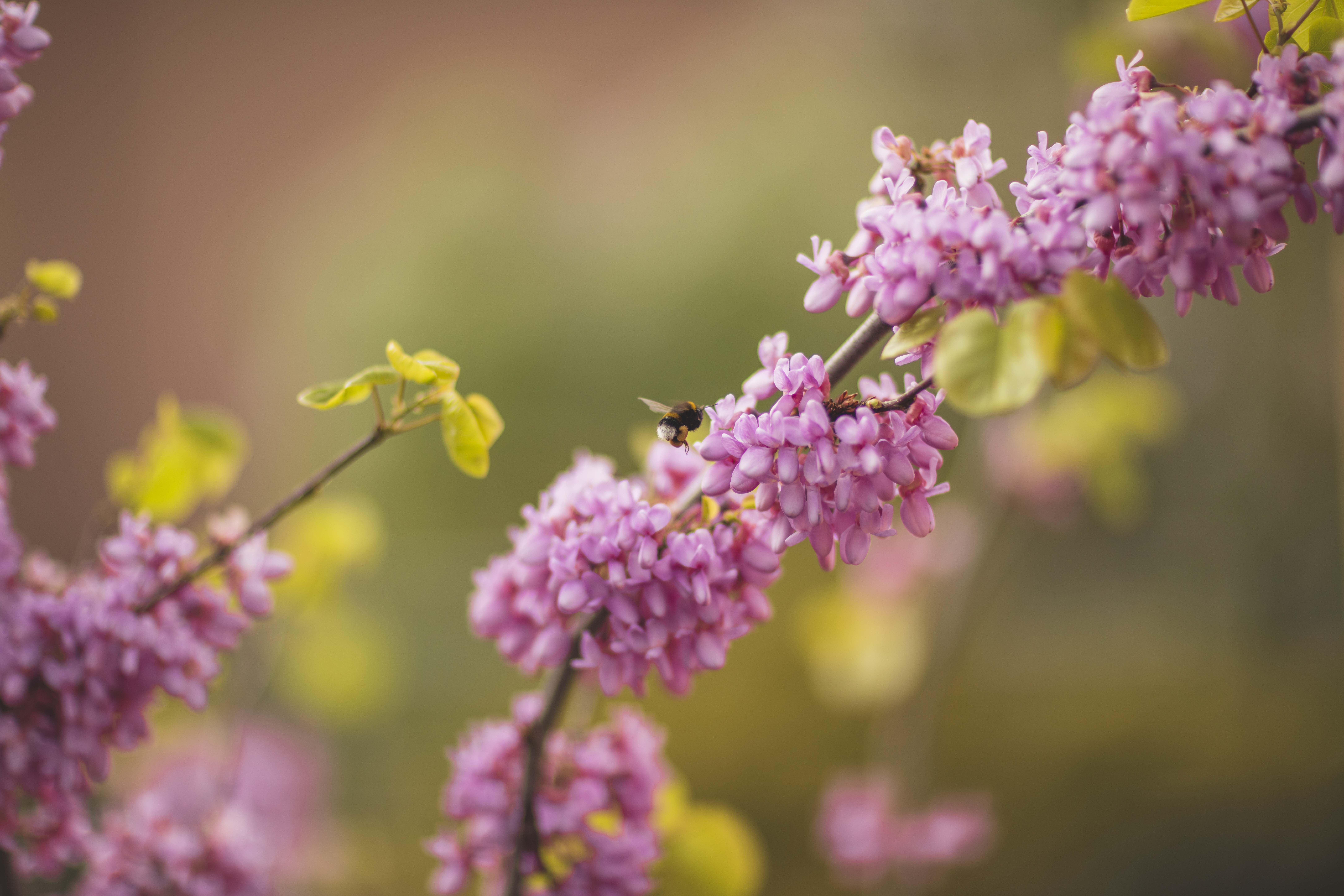 It’s buzzing and humming in the Green Pearls® hotels – hideaways for insects