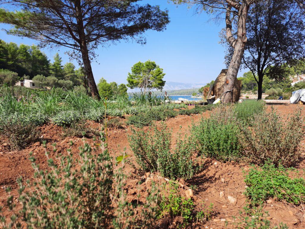 Maslina Resort, Garten