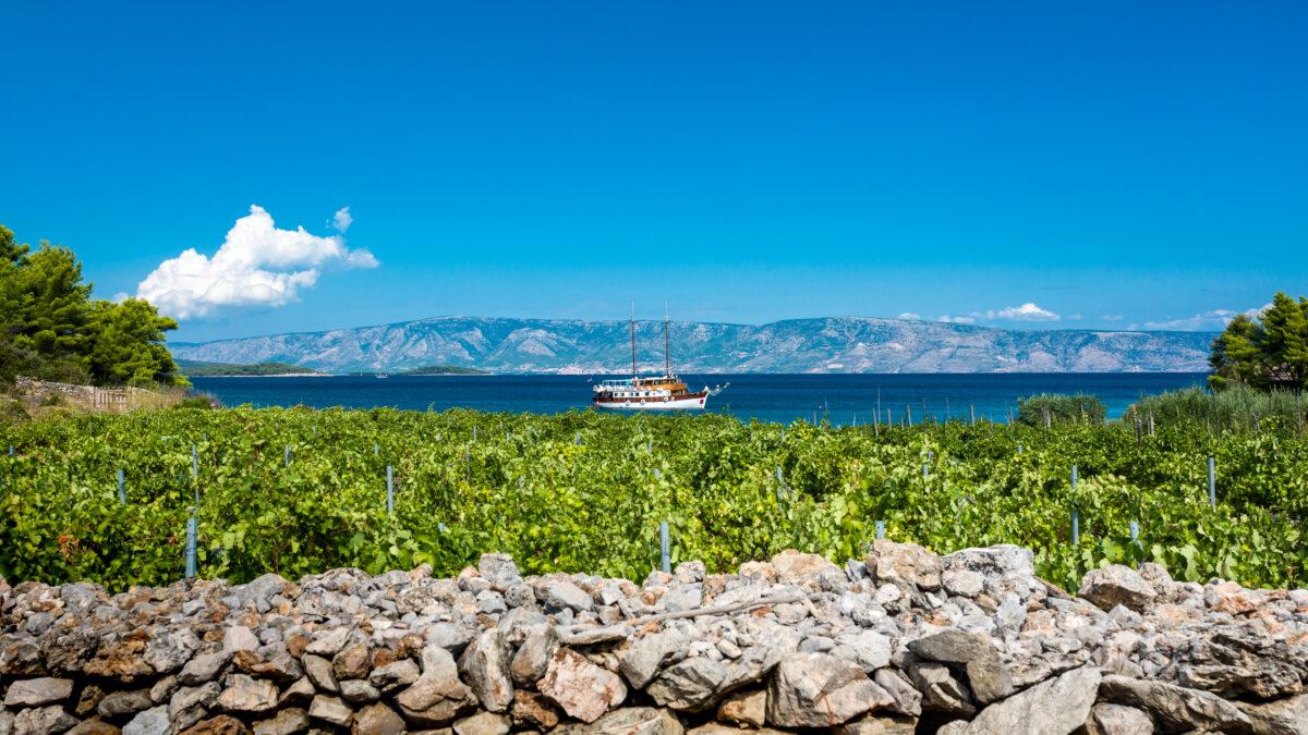 Frühling im Maslina Resort – Tipps für den Garten