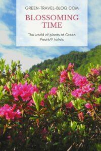 Green Pearls® Hotels, Blossoming time