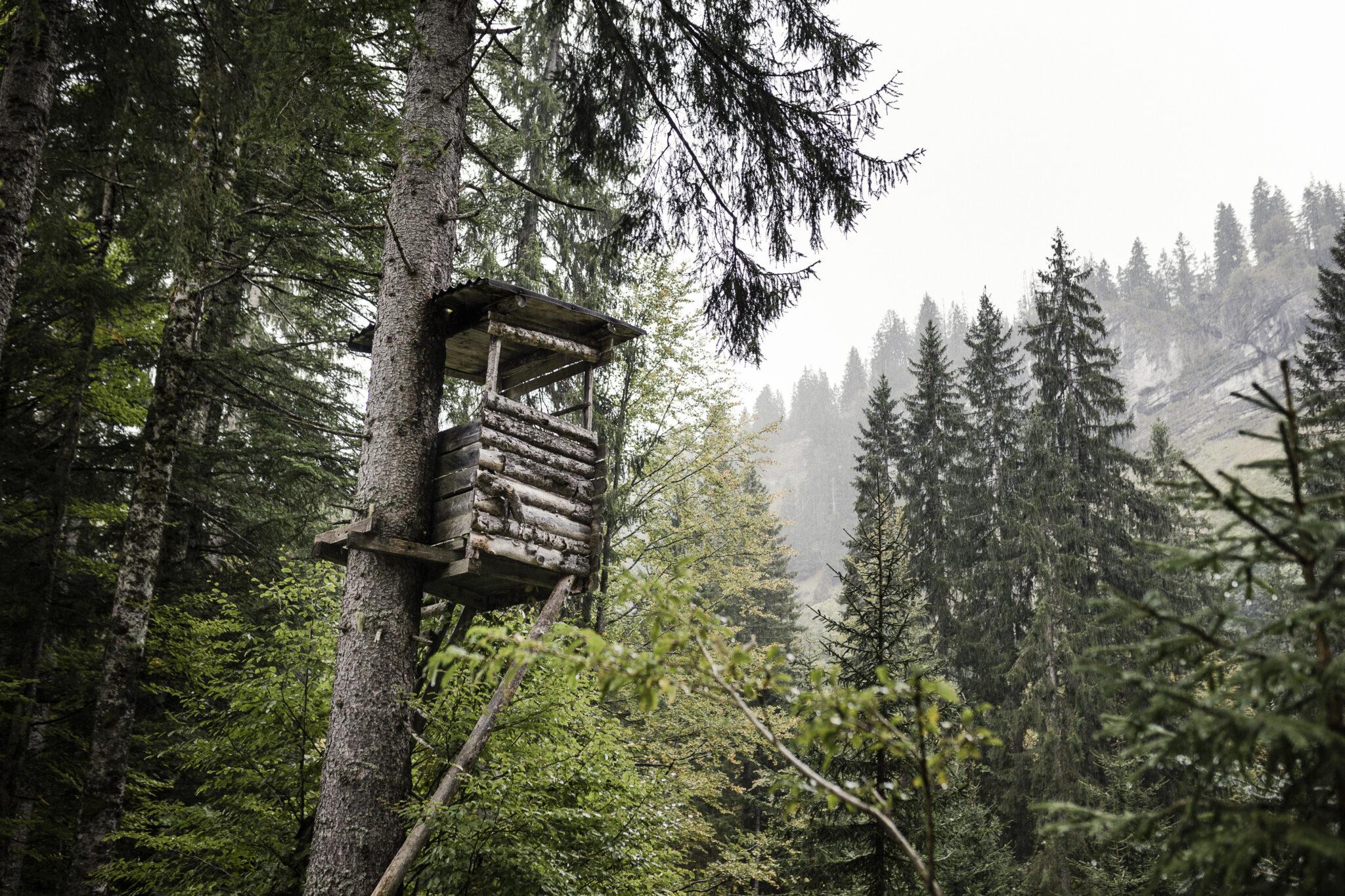 Herbstzauber in verwunschenen Tälern