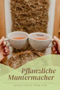 Kaffee zum wach werden: Für viele der Alltag. Dabei gibt es Alternativen