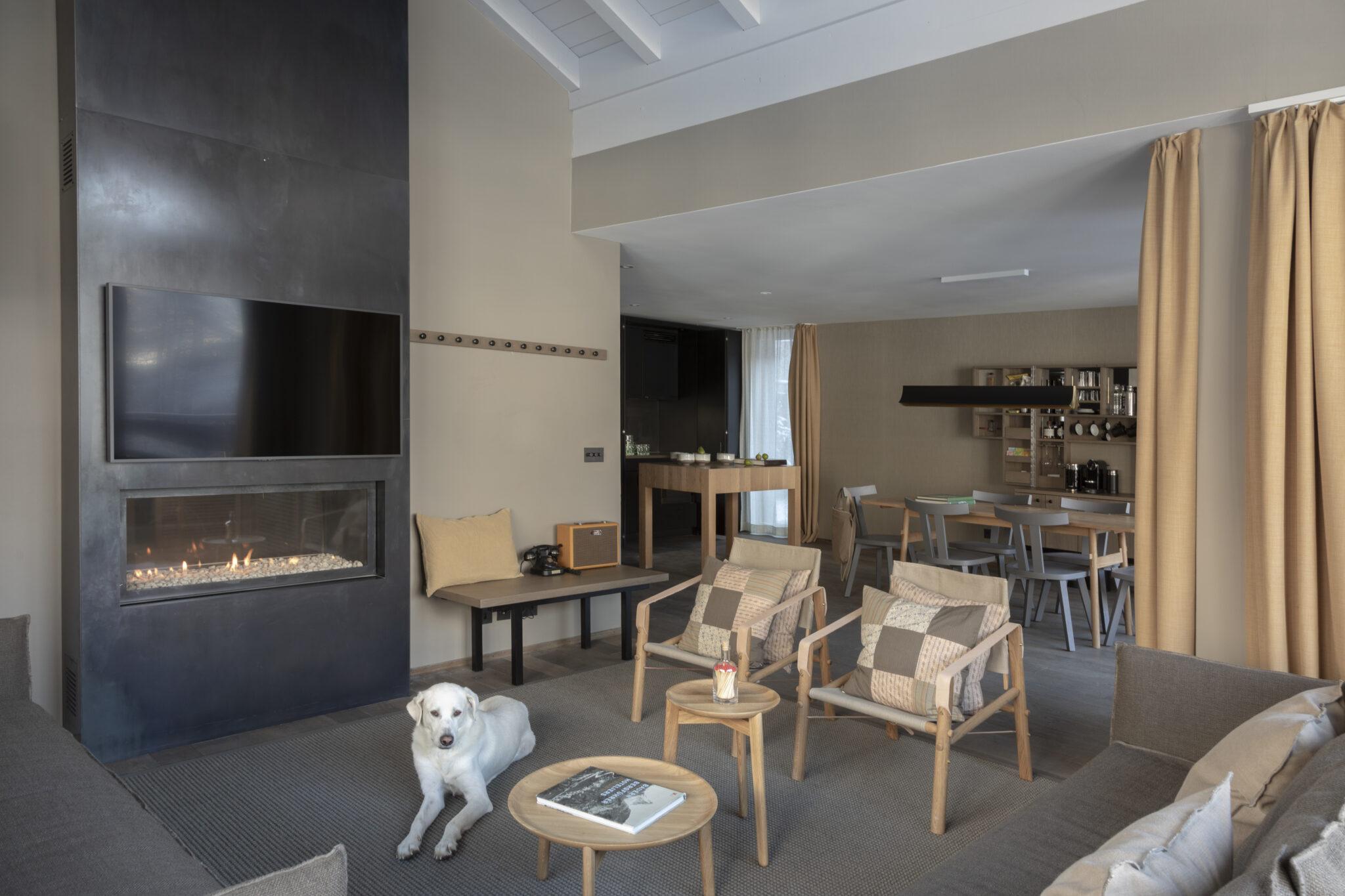 Dog-friendly vacation in Italy or Switzerland
