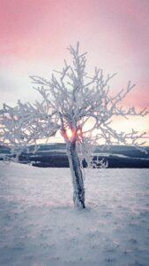 Winterlandschaft auf der Wasserkuppe