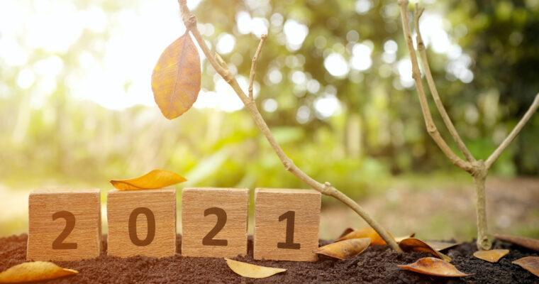 Das war 2021 – Teil eins