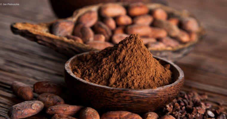 Chocolate: how to snack sustainably
