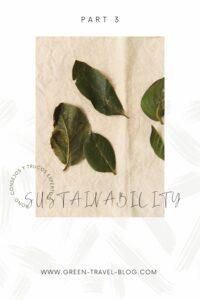 Pinterest: Sustainability Part 3, Green Travel Blog