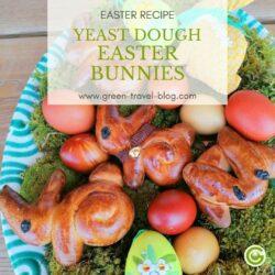Pinterest Graphic for the recipe for yeast dough easter bunnies