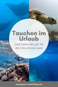 Pinterest Grafik: Im Urlaub tauchen