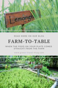 Pinterest Illustration: Farm-to-Table