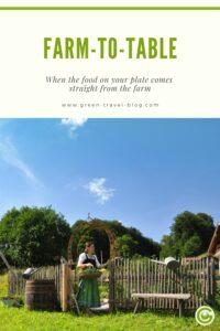 Pinterest Illustration: Farm-to-Table