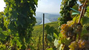 Weinregion Mosel, Deutschland - Lifestyle Resort zum Kurfürsten