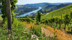 Weinregion Mosel, Deutschland Wanderweg - Lifestyle Resort zum Kurfürsten