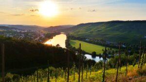 Sonnenuntergang in der Weinregion Mosel, Deutschland - Lifestyle Resort zum Kurfürsten