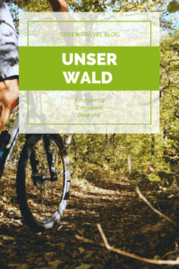 Unser Wald - Pinterest