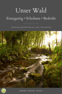 Unser Wald - Pinterest