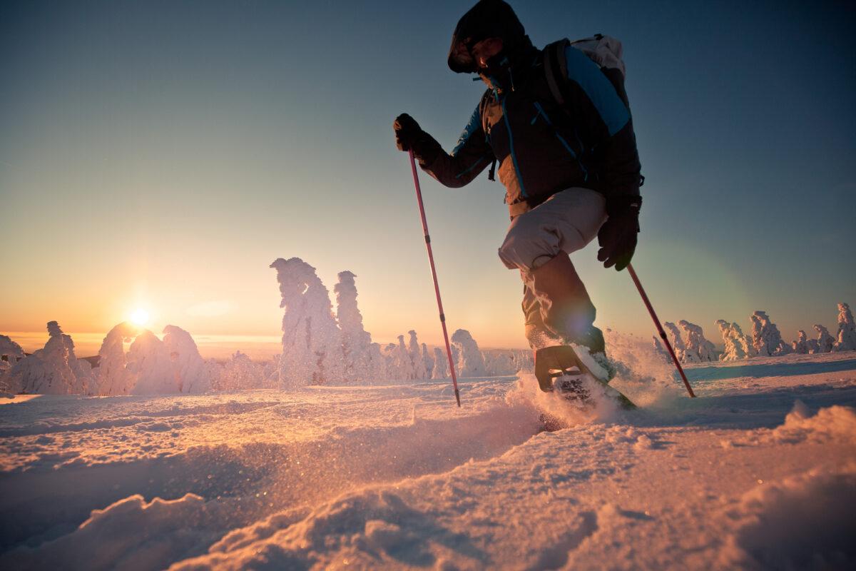 Sustainable alternatives to skiing