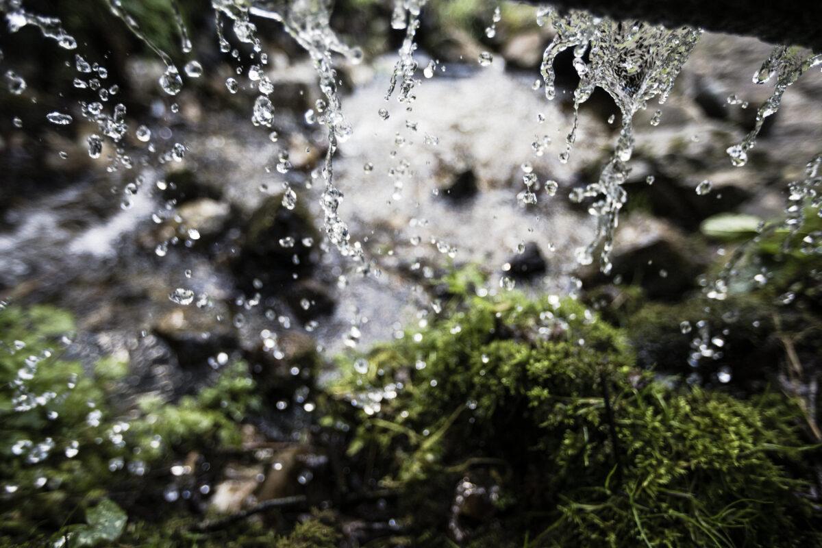 Barfußpfade und Kneipp-Becken, HUBERTUS, Wasser, Natur erleben