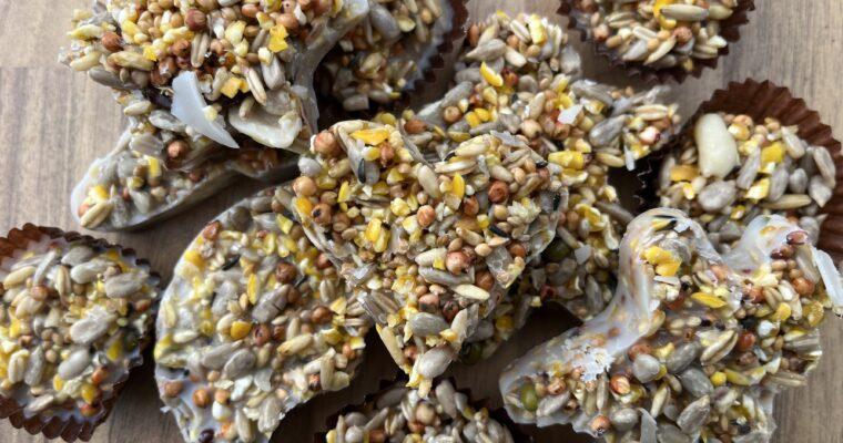 Low Waste Vogelfutterplätzchen (Nachhaltiges DIY)