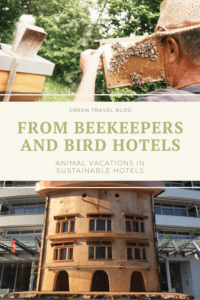 The top picture of the pin shows a beekeeper holding honeycombs in his hand and bees buzzing around him. Below is the "Bird Hotel" at the Hotel Schwarzwald Panorama.