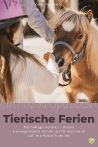 Das Bild zeigt ein kleines Mädchen, das die Nase eines aufmerksam schauenden Ponys streichelt. Das Bild wurde über die Schulter des Mädchens fotografiert.